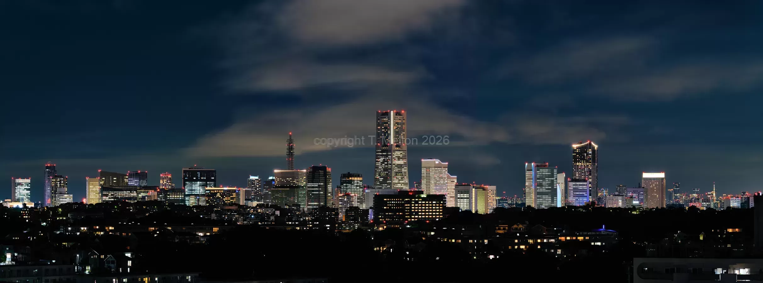 Yokohama Skyline from Hidden Hillside