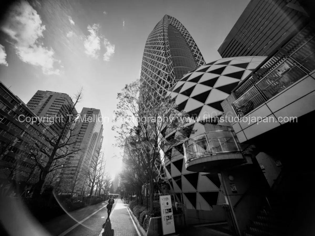 Cocoon of Shinjuku - A-Pathway in Light and Shadow