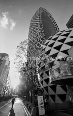 Cocoon of Shinjuku - A-Pathway in Light and Shadow