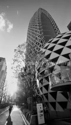 Cocoon of Shinjuku - A-Pathway in Light and Shadow