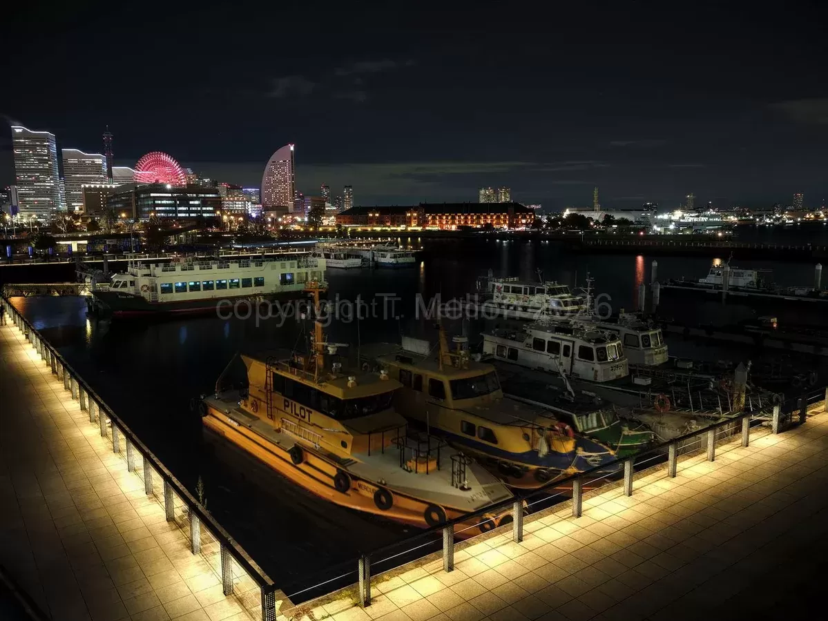 Yokohama Waterfront Deep Winter Night.