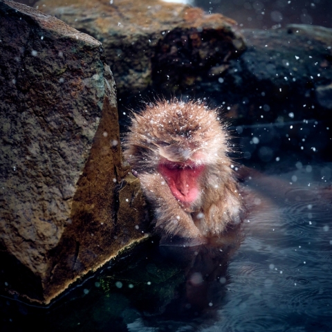 Featured Photo of the Month