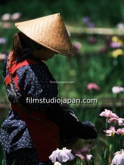 irises-harvest-2 - Limited Edition of 10 worldwide (all sizes combined)