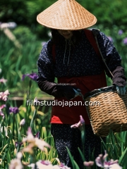 irises-harvest-5 - Limited Edition of 10 worldwide (all sizes combined)