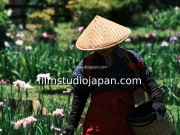 irises-harvest-9 - Limited Edition of 10 worldwide (all sizes combined)