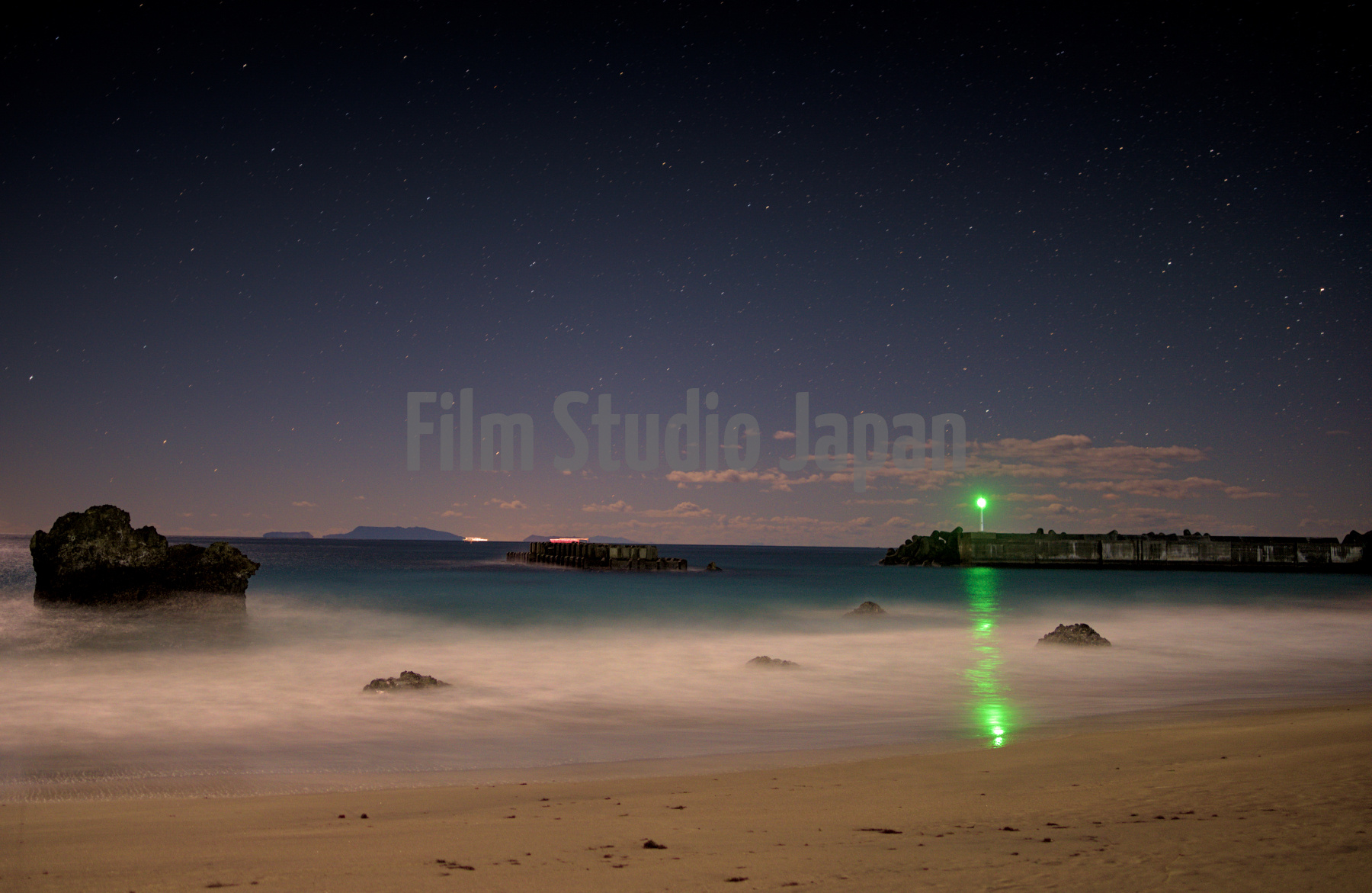 Dolphins in the Shallows Deep in the  Night IZU 3339