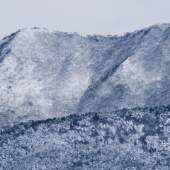 Remarkable-Snow-Covered-Mountain-With-Tree-line-Ridge-Foreground-and-Rock-Crop