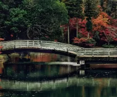 New Print Pricing and Details Coming Soon! New Print Pricing and Details Coming Soon!