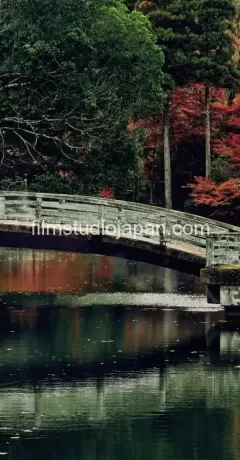 Monet's Inspiration Monet's Inspiration