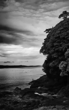 Forest Meets Sea | Izu, Japan