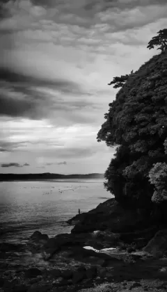 Forest Meets Sea | Izu, Japan