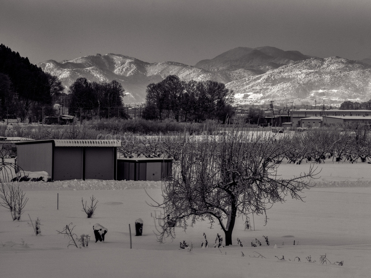 Depth-of-Winter-Nagano-Japan-Limited-Edition