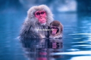 "Motherly Love: Serenity of a Mother Snow Monkey and Her Baby in a Deep Blue Onsen" - Limited Edition