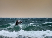 "Front Side In the Extreme" - Limited Edition