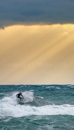 Riding-on-the-Storm-Rays - Limited Edition