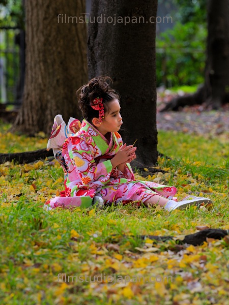 成人式_着物_若い女の子_秋の葉_ポートレート.jpg